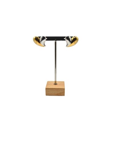 Σκουλαρίκια Δίχρωμα